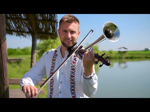 Radu Tîrb - Danț din Cheresig