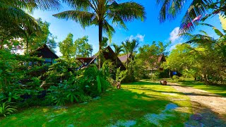 La Paloma Resort Garden View Phú Quốc 2023 Giá Cực Rẻ Cho Du Khách Nghỉ Dưỡng