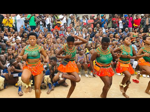 Team Orange 🍊| Cweshe | Inqobo nje makulale kudlabantwana | Intombi emhlophe | shoti | kaZondi 21/4