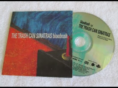 My Top 10 Rarest Trashcan Sinatras Collectibles