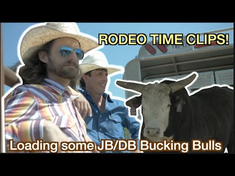 Loading some JB/DB Bucking Bulls
