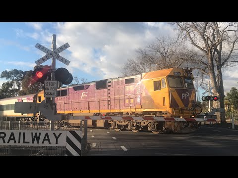 (N Class & V/Line Test!) Napier Street Level Crossing, Bendigo, Victoria!