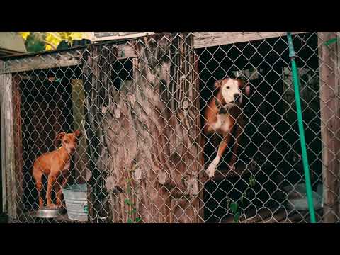 BML Treydawg - “Krazy Thoughts” (Official Music Video)