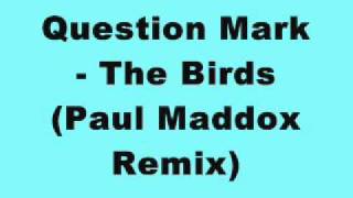 Question Mark - The Birds (Paul Maddox Remix)
