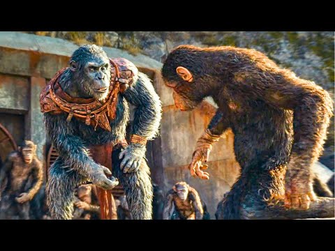 Proximus Caesar Fight Against The Apes Scene HD CLIP | Kingdom Of the Planet Of The Apes