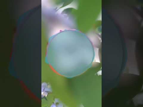 Breathing Microbreak