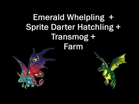 WoW Gold Farm - Emerald Whelpling + Sprite Darter Hatchling + Transmog Farm!