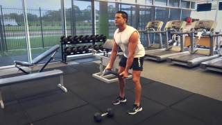 Plate Row exercise video thumbnail