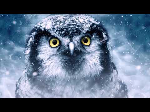 Inteligência suprema | Criatividade e concentração, música para estudar, meditação