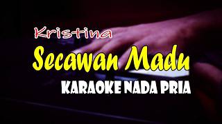 Download lagu SECAWAN MADU - KARAOKE NADA PRIA || KARAOKE DANGDUT mp3