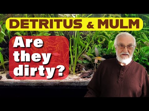 Is It DIRT or Is It GOLD? - The Secret of RICH Soil