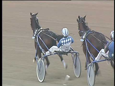 Trotto 17/06/2017 - 4ª corsa