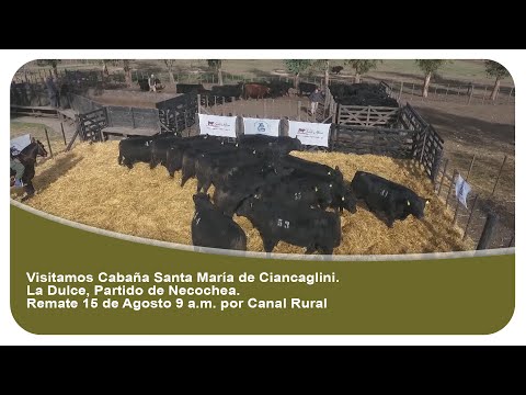 Santa María de Ciancaglini previa al remate