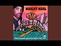 The Man Marley Marl
