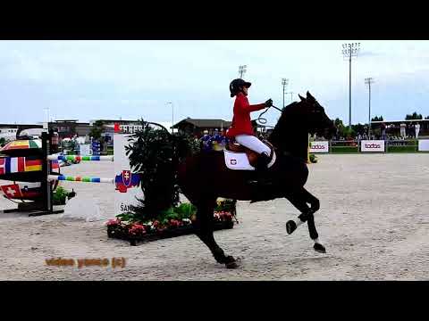 Horse show jumping falls compilation