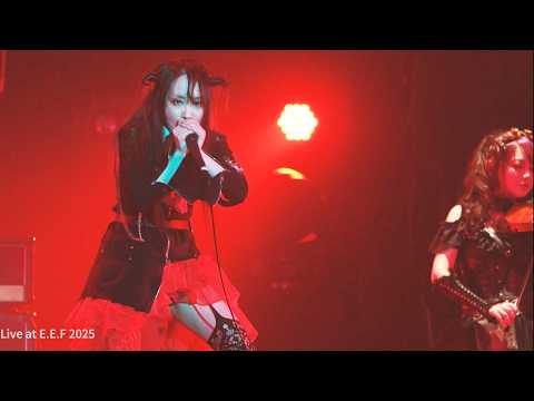 This Fate (HQ sound) - FATE GEAR Live at EEF 2025