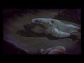 Bangla Movie Guerrilla Song Joy Sotter O Joy