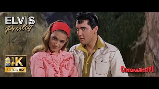 Elvis Presley - (Such An) Easy Question ⭐UHD⭐ (1965) AI 4K Enhanced