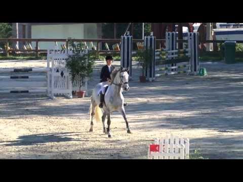 Anna Lindberg show 120cm