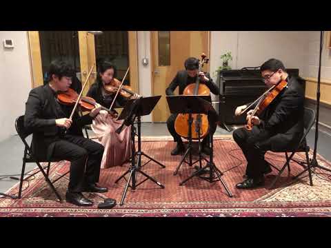 Brahms String Quartet in A Minor, Opus 51, No. 2, Third Movement