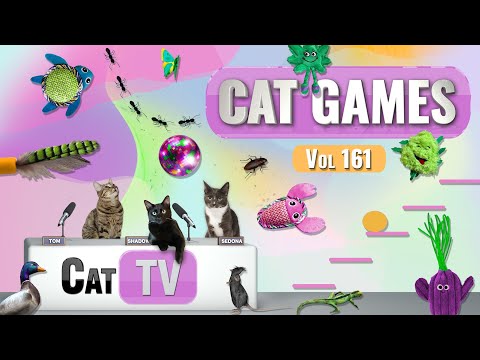 CAT Games | Ultimate Cat TV Compilation Vol 161 | 8 HOURS  🐝🐞🦋🦎🦜🐜🐭🧵