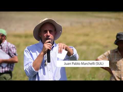 Jornada Impacto del riego en sistemas productivos ganaderos - Febrero 2020