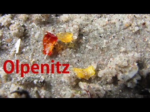 Olpenitz Bernsteinküste - Amber Coast near Olpenitz (Ostsee/Baltic Sea) 2012