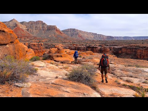 Backpacking the Grand Canyon's Kanab Creek Wilderness: 6 Day Jumpup Esplanade Loop Hike