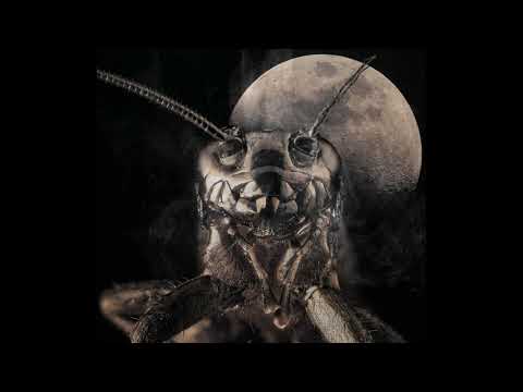 Moon Crickets - Fight With All Your Might (Feat Tragedy Khadafi, Hell Razah,...