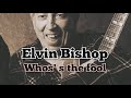 Elvin Bishop - Whos' the fool