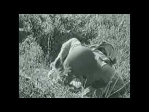 Weapons and devastation, U.S Army ww2 infantry training film