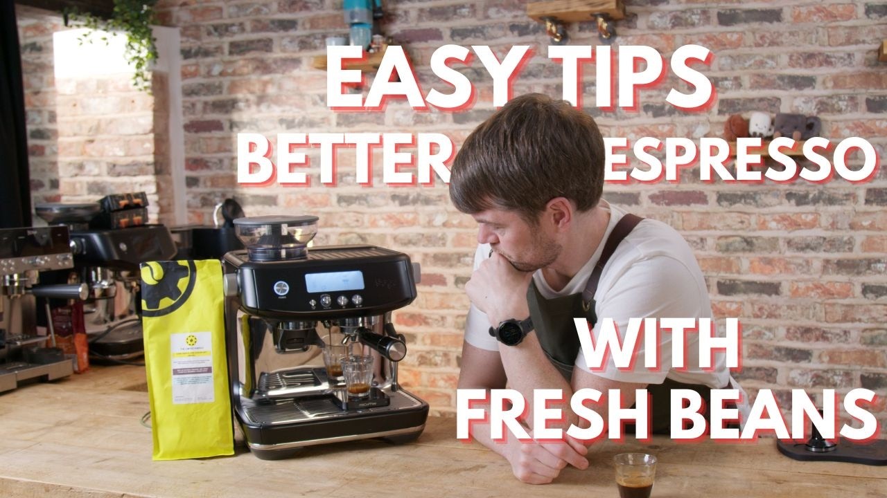 Coffee Bean Roasting Levels Explained