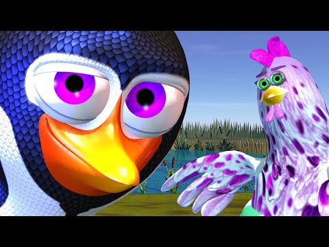 O Pinguino e a Gallina -  A Fazenda do Zenon