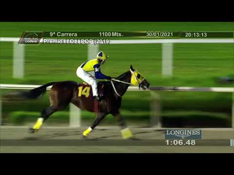 210130 c09 MAGALLANES