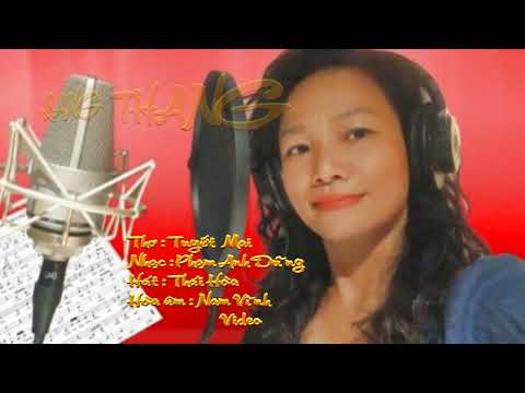 Lang thang - Thái Hòa