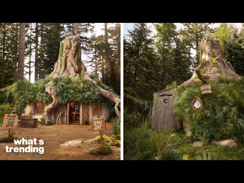 Shrek’s Swamp Is Now An Airbnb