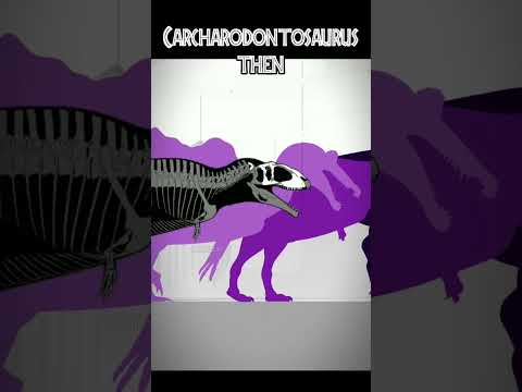 Carcharodontosaurus Buff 💀 - now and then Edit #shorts #dinosaur #jurassicpark #jurassicworld