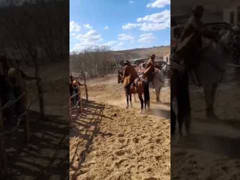 pega de boi no sertão de pedra branca ceará 16/11/2025