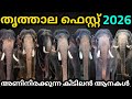 തൃത്താല ഫെസ്റ്റ് 2026 ദേശക്കാരുടെ കിടി�