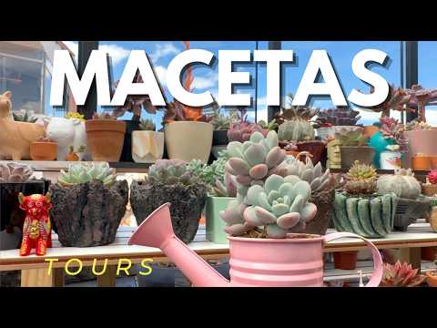 SUCULENTAS Macetas de Colección tours Plant Pots