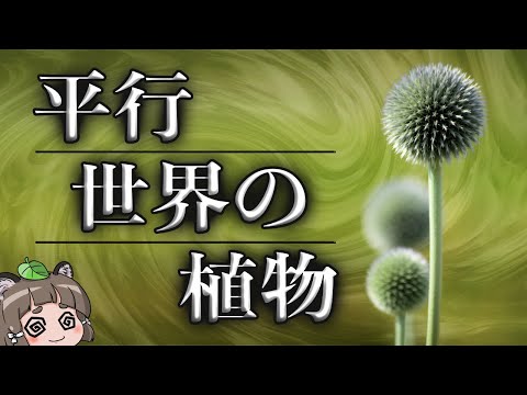 旧北極生態圏: 学名別の種子植物 (D)について詳しく解説