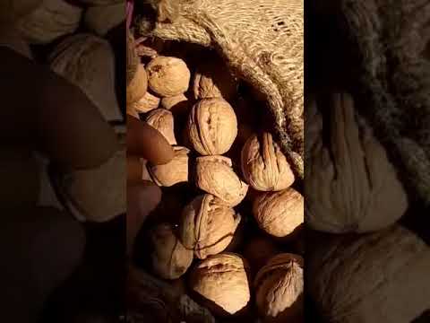 Organic Dry Walnut