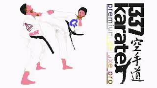 Commodore 64 = 1337 Karate Premium Deluxe Pro themes = SID Music