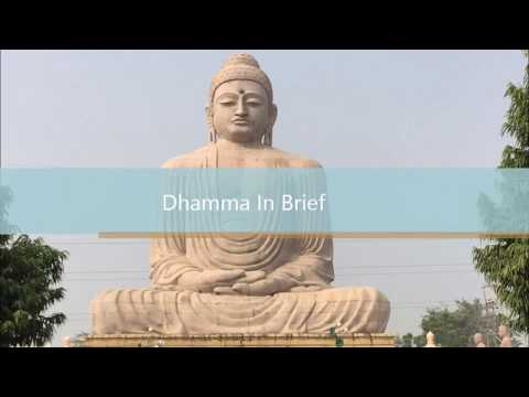 Dhamma in Brief  - The Five Powers of a Buddhist Trainee