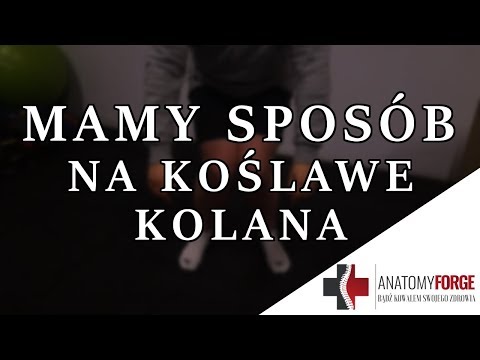 Z których tkanki kostnej u podnóża najbliższej palucha Przystanek koślawe ustawienie
