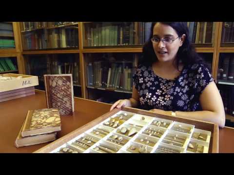 Spotlight Specimen: Charles Lyell Collection