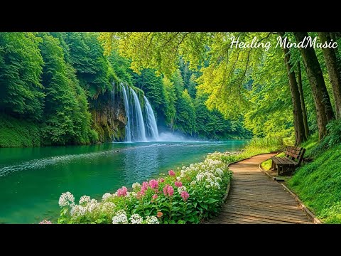 Gentle Relaxing Music 🌿 Soothing Piano Music Helps Heal the Soul, Balance Emotions, Deep Sleep