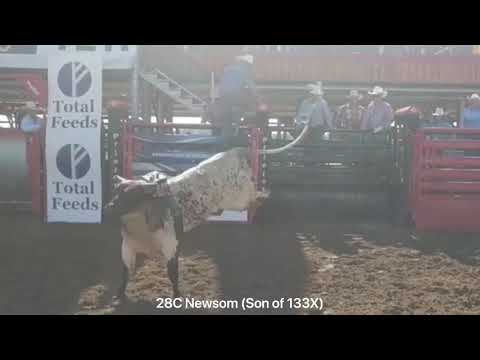 133X High Tensile Reference Video