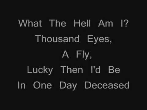 Sickman- Alice in Chains (w/ Lyrics)