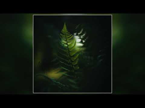 Non Somnia - Liquid Shadows (2024) (Full Album)